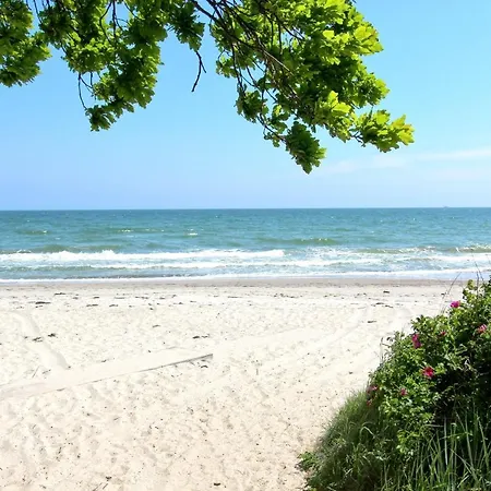 Strandnahe Mit Terrasse, Gratis Nutzung Vom Ahoi Erlebnisbad Und Sauna In Sellin - Rex Rugia 14-1