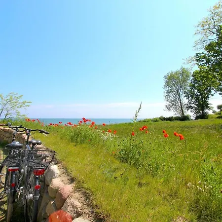 Strandnahe Mit Terrasse, Gratis Nutzung Vom Ahoi Erlebnisbad Und Sauna In Sellin - Rex Rugia 14-1 Apartmán